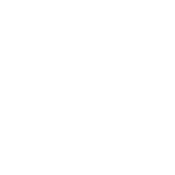Onitsuka Tiger
